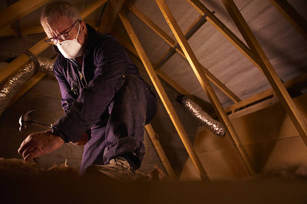 Best Commercial Insulation in Pamplico, SC