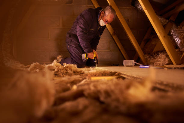 Best Residential Insulation in Pamplico, SC